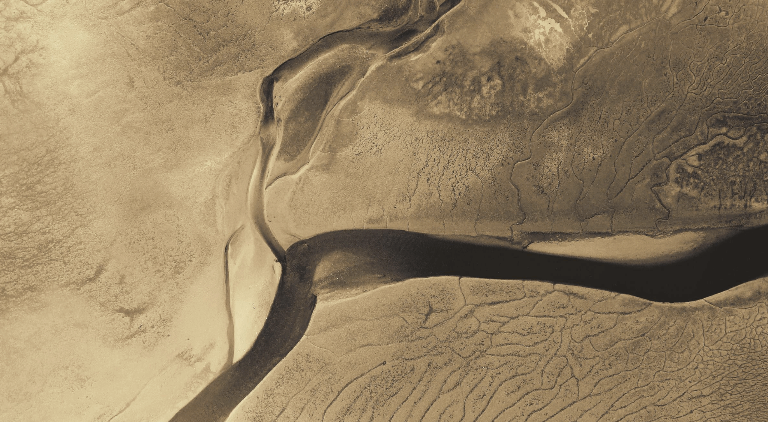 Streamline your geophysical workflows with the Oasis montaj processing extension
